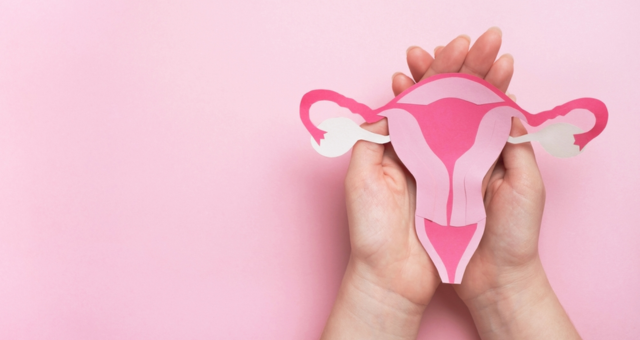 Read more about the article Understanding the Roles of Progesterone and How To Naturally Balance It