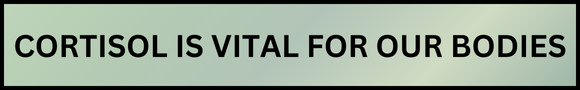 Blog Block Template-2