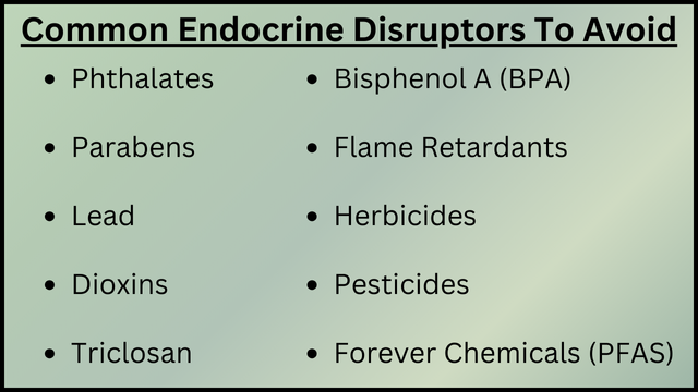 Common Endocrine Disruptors To Avoid-1