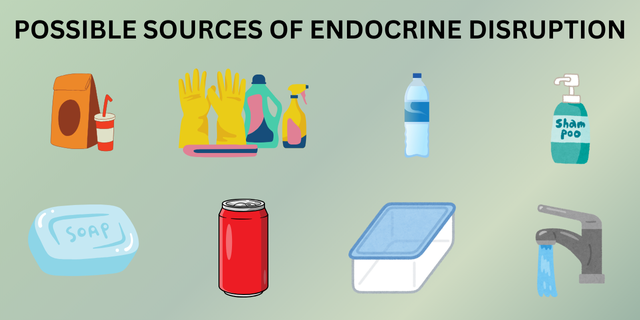 Endocrine Disruptors Can Cause (2)