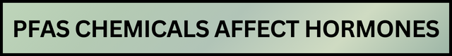 PFAS Chemicals Affect Hormones